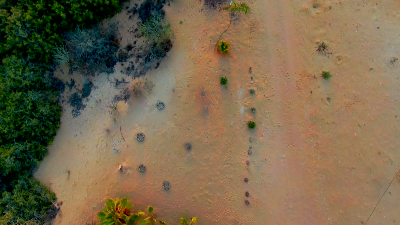 Overhead view in San Carlos, Baja California Sur showing pale sand, scattered scrub, dense green vegetation at left, and no visible people.