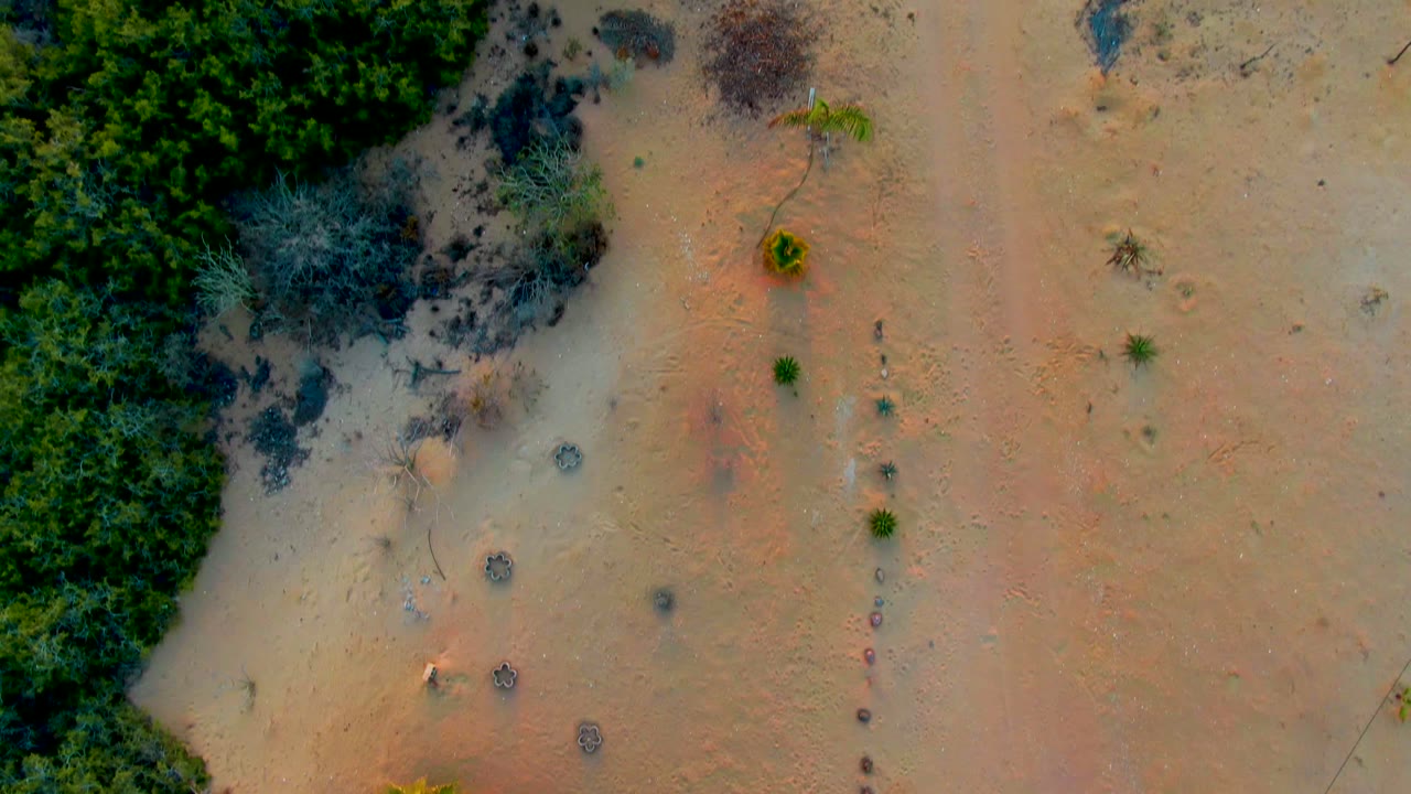 Sandy ground with scrub clusters and a faint dirt path.