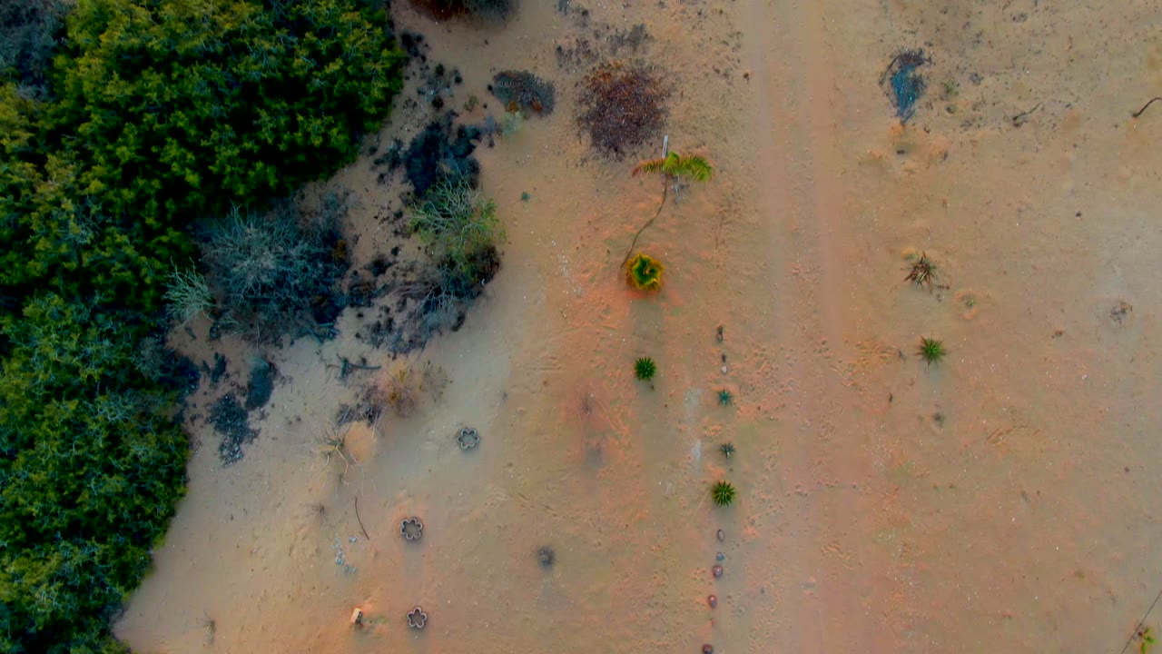 Top-down view in San Carlos, Baja California Sur showing open sandy terrain, scattered shrubs, darker brush patches, and no visible people.
