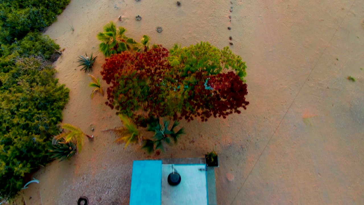 Aerial view of sandy terrain with clustered trees and roof corner.