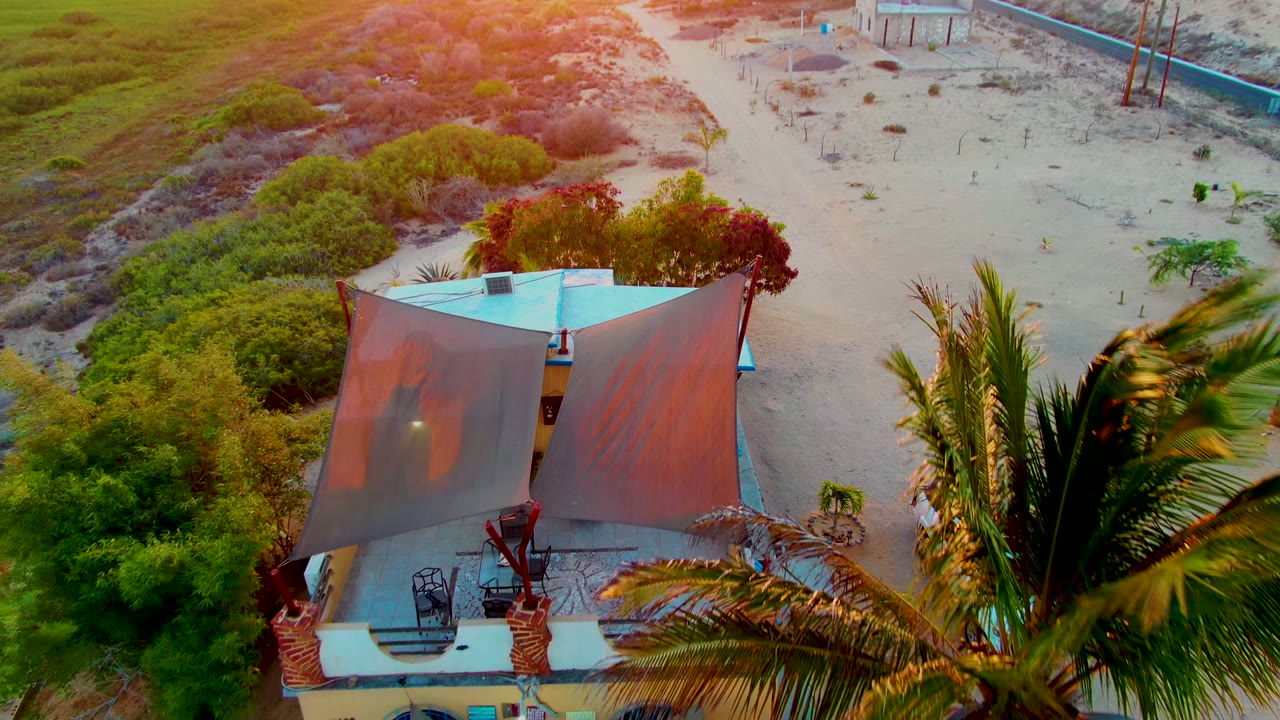 Overhead drone frame in San Carlos, Baja California Sur showing a canopy-covered structure beside palms, shrubs, sandy ground, and warm sunset color, with no visible people.