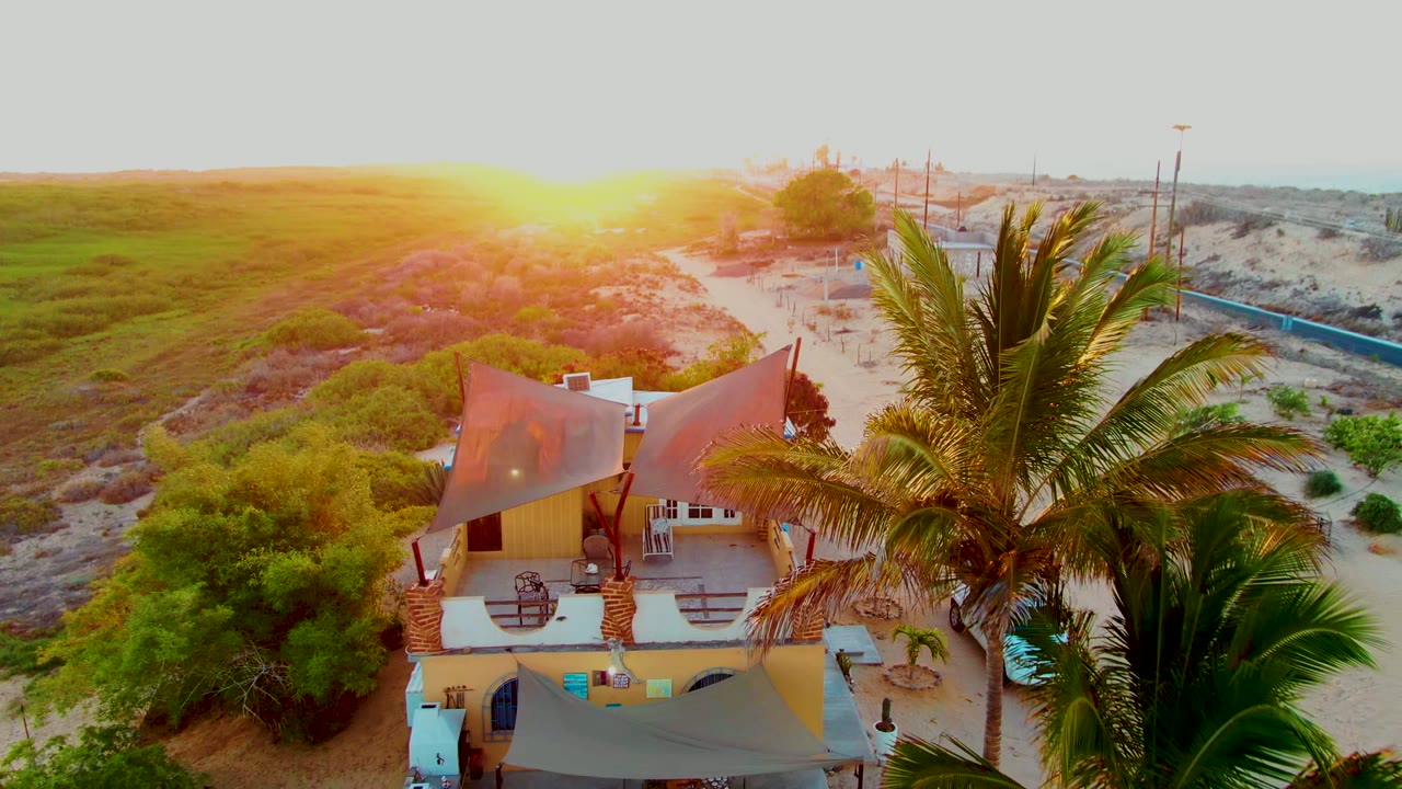 Aerial San Carlos frame with the palm crown crossing the right foreground, the tarp-roofed beach house below, low brush beyond it, and no visible people.