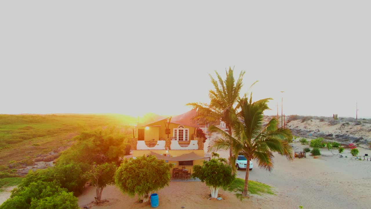 A San Carlos, Baja California Sur coastal house sits below a tall palm as the low sun flares over the grassy hill, with sand and shrubs in the yard and no visible people.