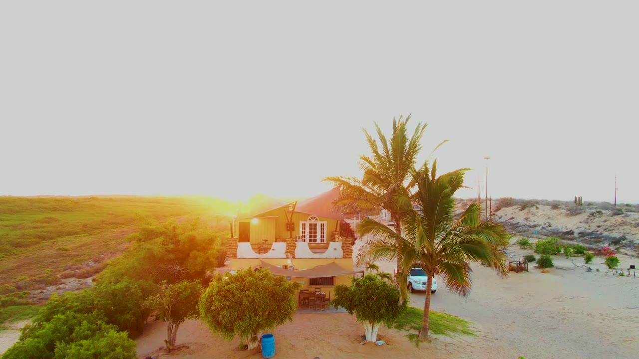 House and palm tree in warm sunset light beside sand and low vegetation.