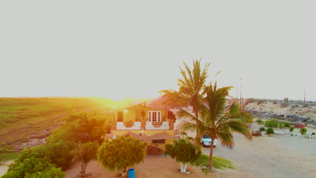 A wider-looking moment shows the San Carlos house under the bright setting sun, with the palm crown crossing the roof area, sandy terrain to the right, and no visible people.
