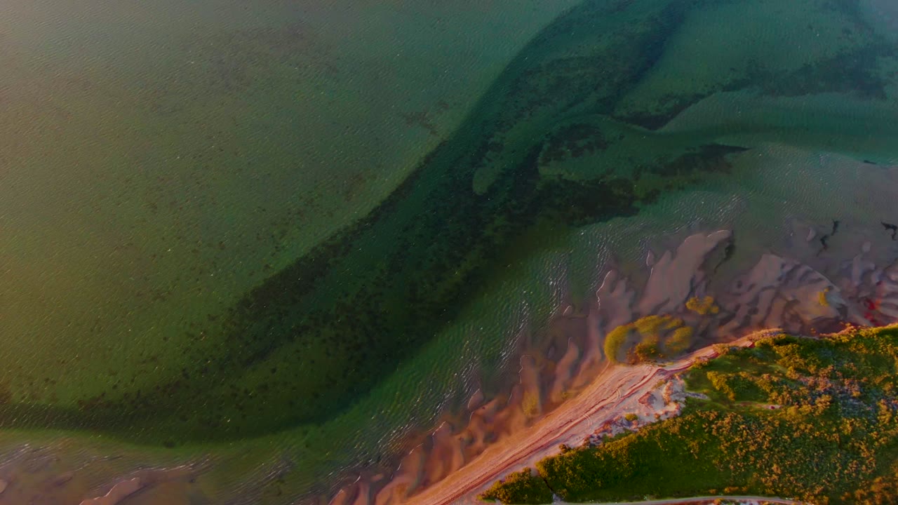 Aerial frame from San Carlos, Baja California Sur showing green shallow water, a dark channel, pink muddy shore, and coastal vegetation with no visible people.