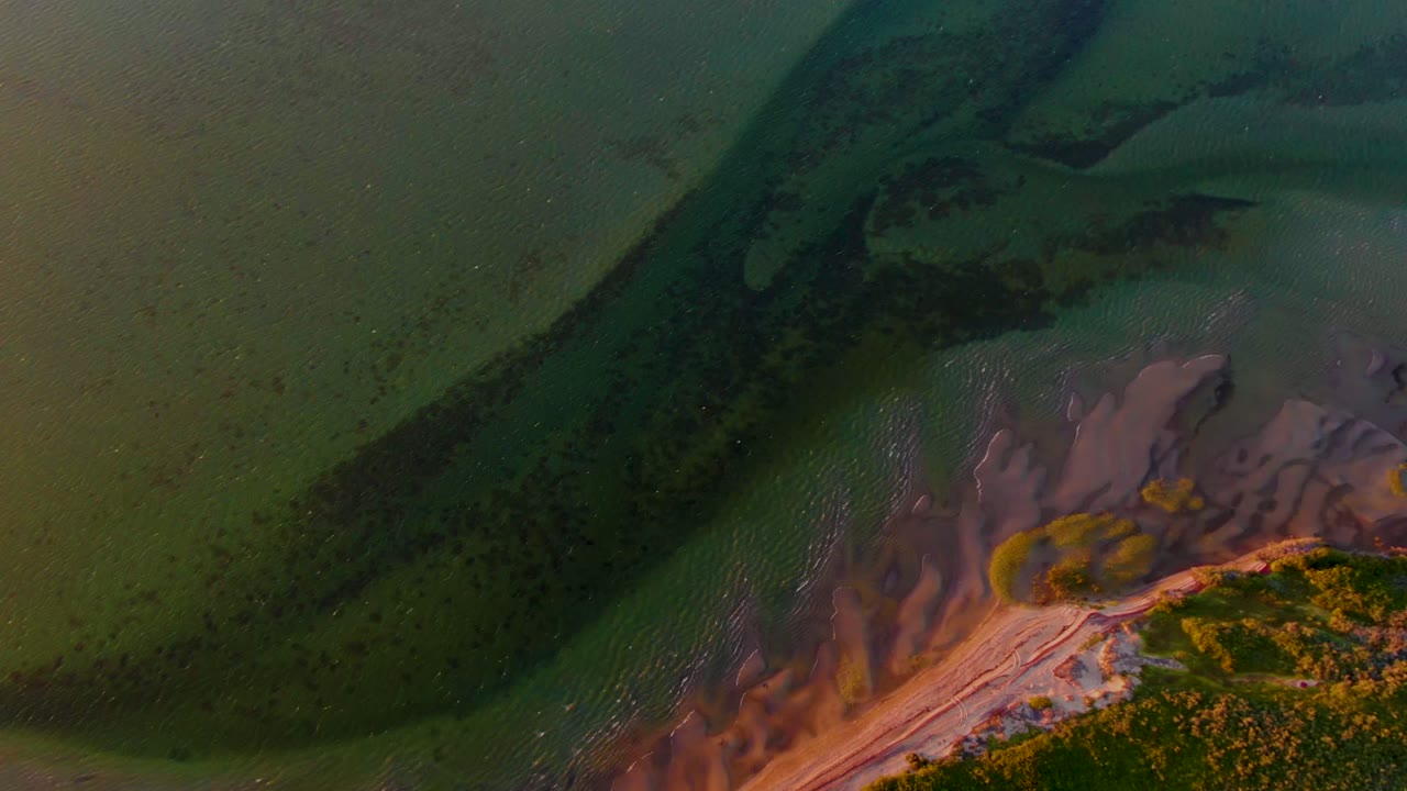High aerial frame from San Carlos, Baja California Sur showing rippled green water over muddy flats beside a narrow strip of coastal vegetation, with no visible people.