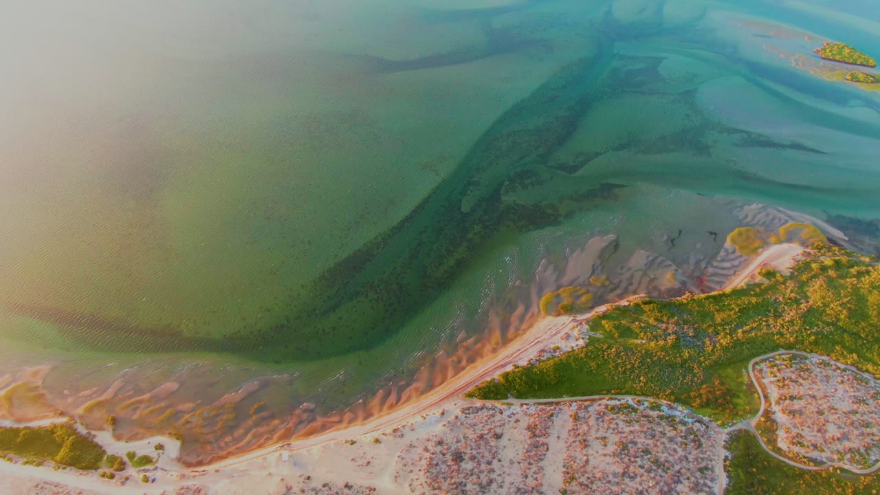 Aerial frame over San Carlos, Baja California Sur, Mexico, showing green-blue shallow water above pale sand flats and a band of green shoreline vegetation, with no visible people.