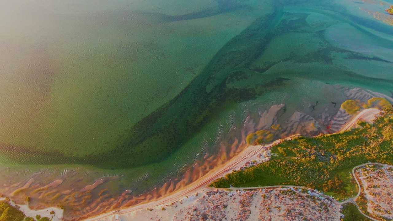 Aerial frame over San Carlos, Baja California Sur, Mexico, showing translucent green water, darker underwater bands, exposed sand, and a vegetated coastal strip along the lower edge, with no visible people.