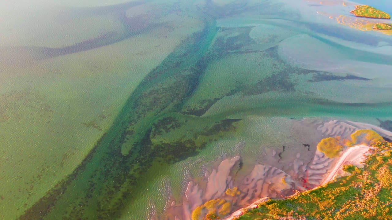 High aerial view of green estuary water, pale sand flats, darker channels, and yellow-green shoreline vegetation in San Carlos, Baja California Sur, with no visible people.