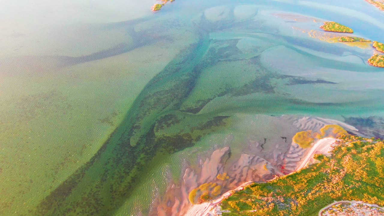 Overhead view of blue-green estuary water, layered sandbars, dark underwater patches, and vegetation along the lower shoreline in San Carlos, Baja California Sur, with no visible people.