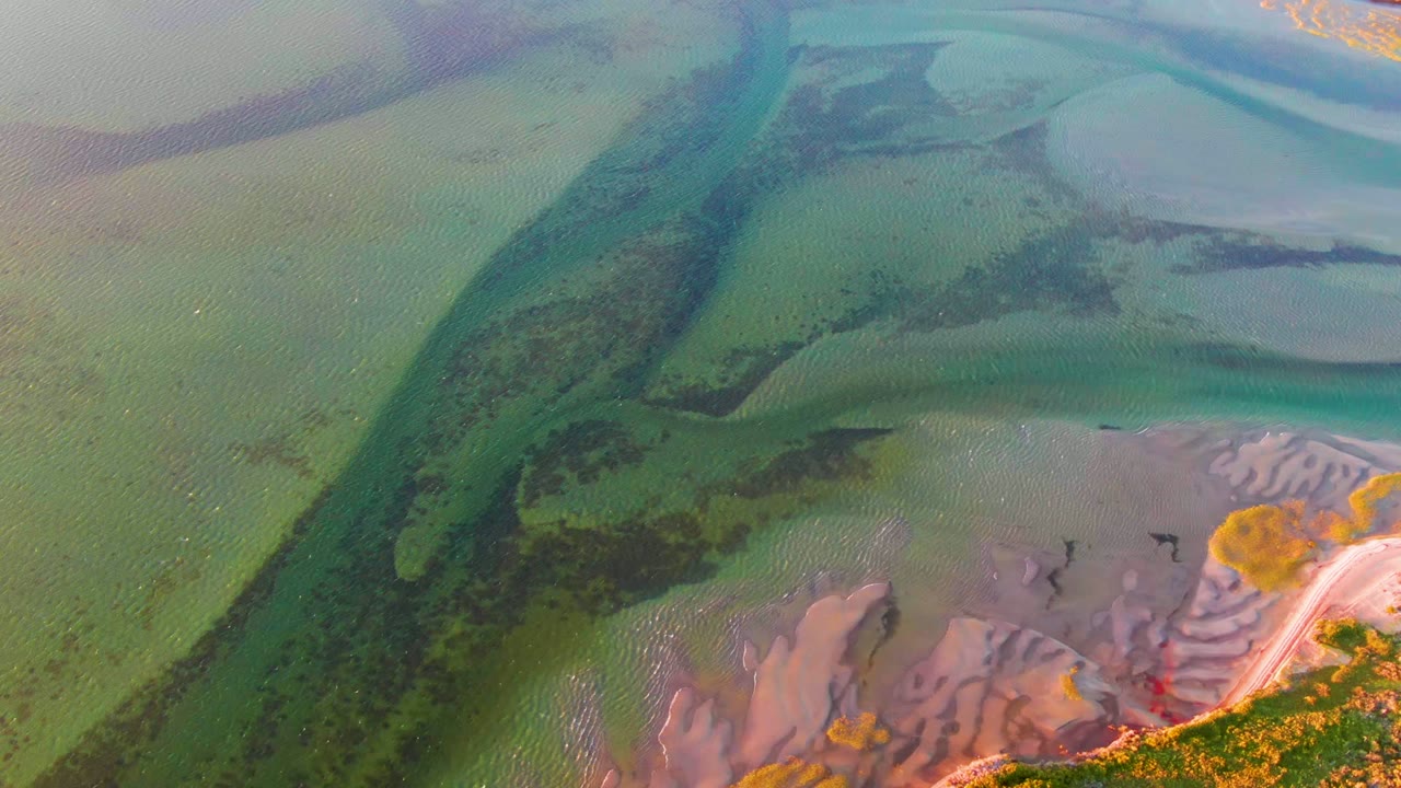 Aerial view over San Carlos, Baja California Sur wetlands, with a dark green channel cutting through pale green water and pink mudflats, no visible people.