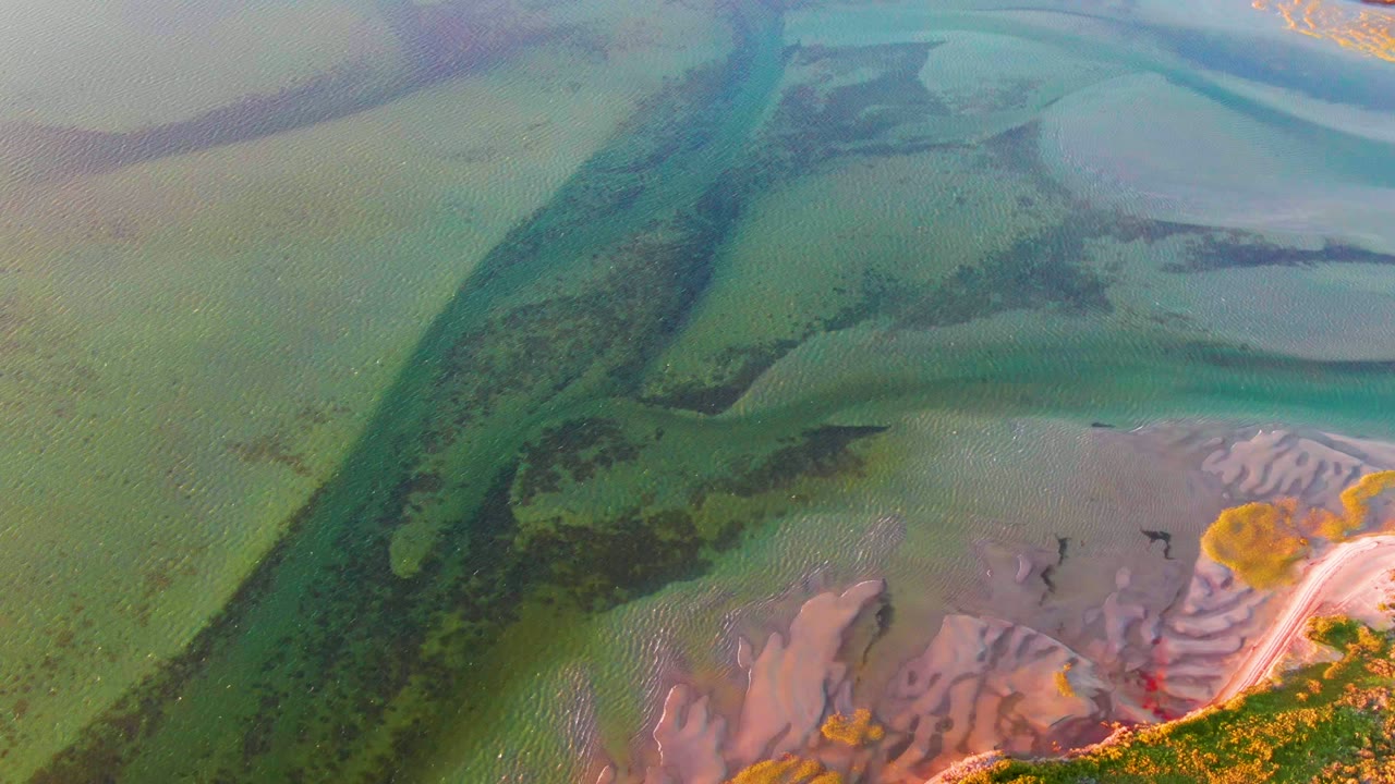 Overhead San Carlos coastal wetland frame with green-blue water channels crossing diagonally above pink and gray mudflats, no visible people.