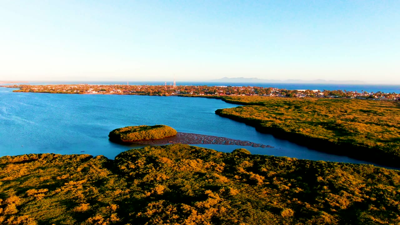 Blue bay water beside green shoreline vegetation and distant buildings