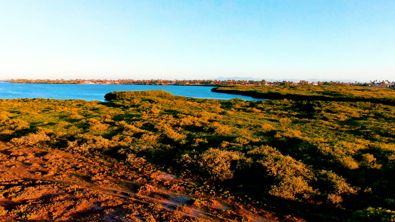 Drone view over golden-green brush with a blue lake and distant shore.