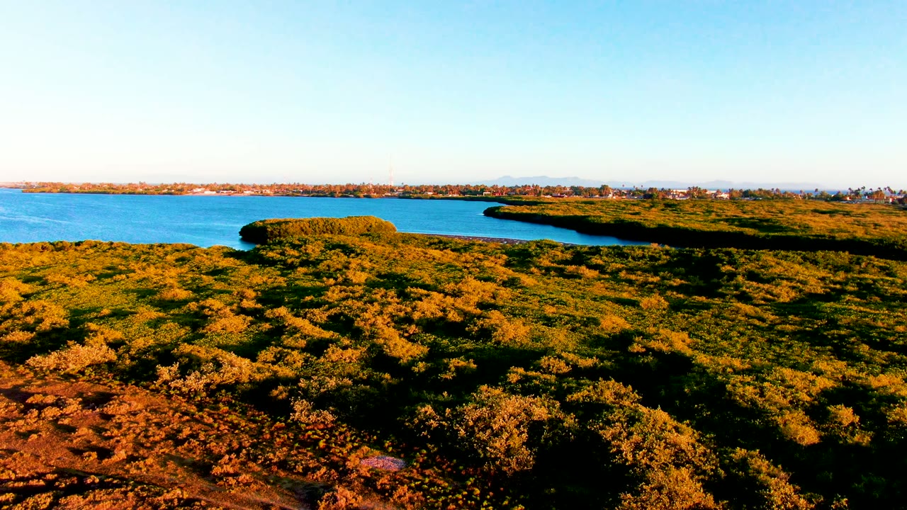 Aerial frame over San Carlos, Baja California Sur, with warm-toned vegetation across the lower half, bright blue lake beyond, a small island near the shore, and no visible people.