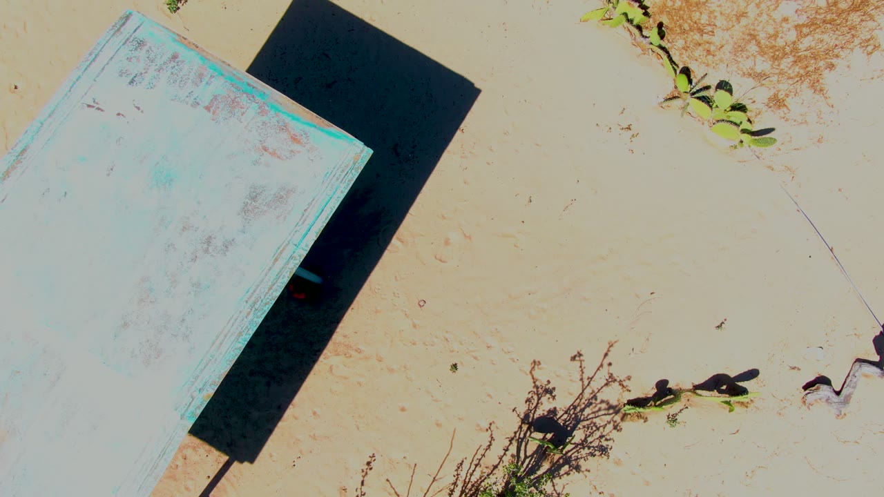 Aerial-looking frame in San Carlos, Baja California Sur with the weathered blue platform filling more of the upper right, pale sand below, small green plants, dry stems, and no visible people.