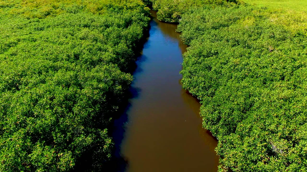 Winding river channel beside bright green vegetation