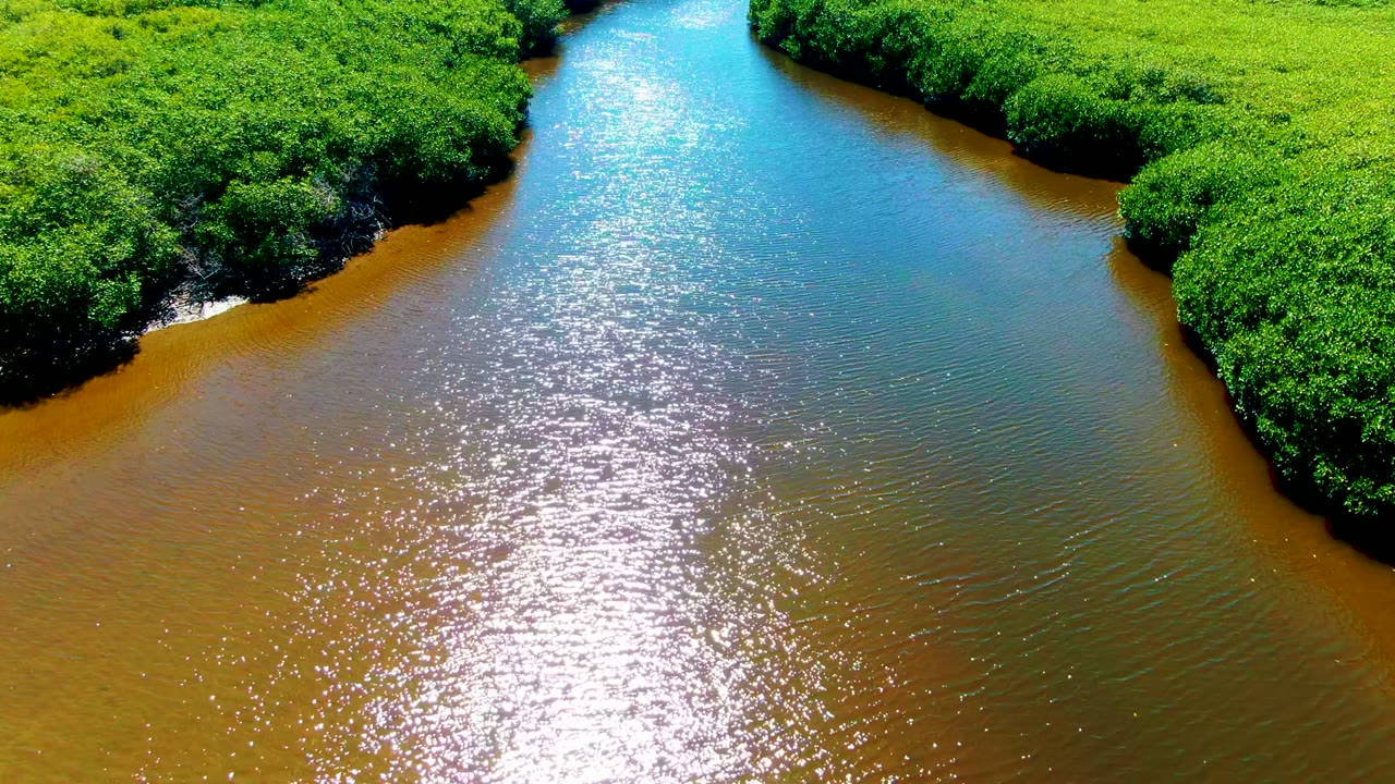 Overhead river channel with blue water center and brown water near mangrove edges.