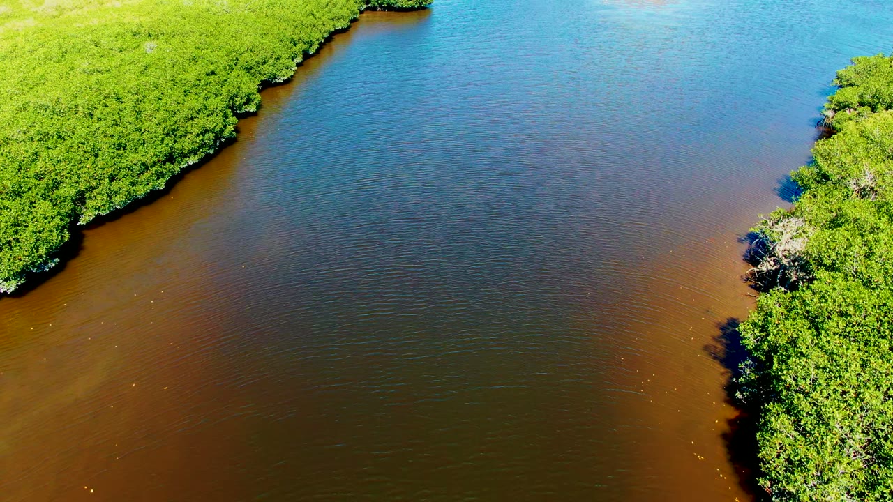 Aerial frame from San Carlos, Baja California Sur, showing dense green mangroves framing a channel where blue water meets brown river water, with no visible people.