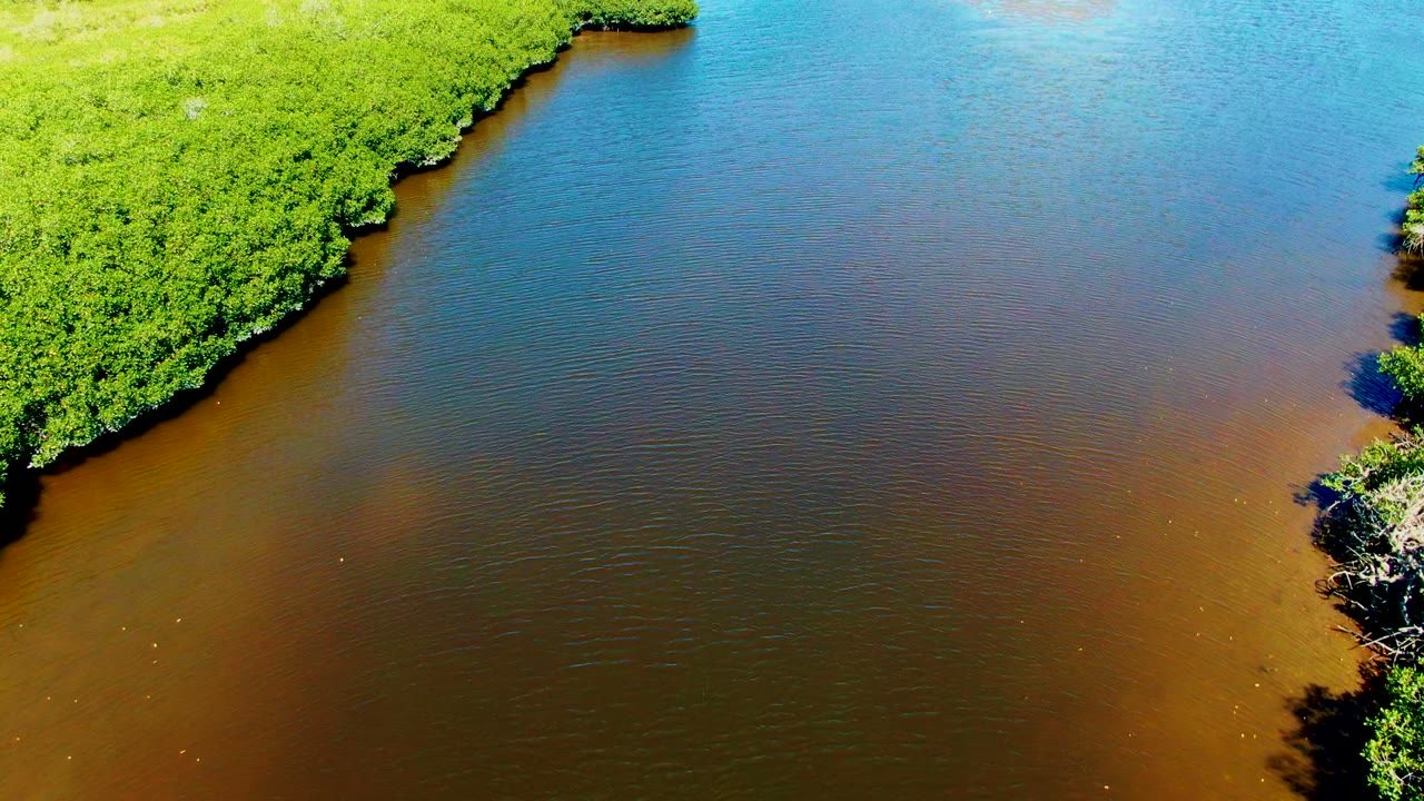 Mangrove point extending into two-toned water