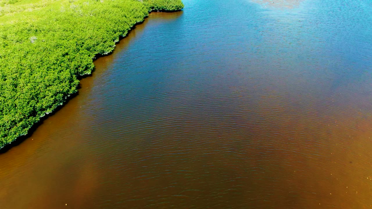Aerial frame from San Carlos, Baja California Sur, showing a broad brown water area fading toward blue-green water along a mangrove-lined bank, with no visible people.