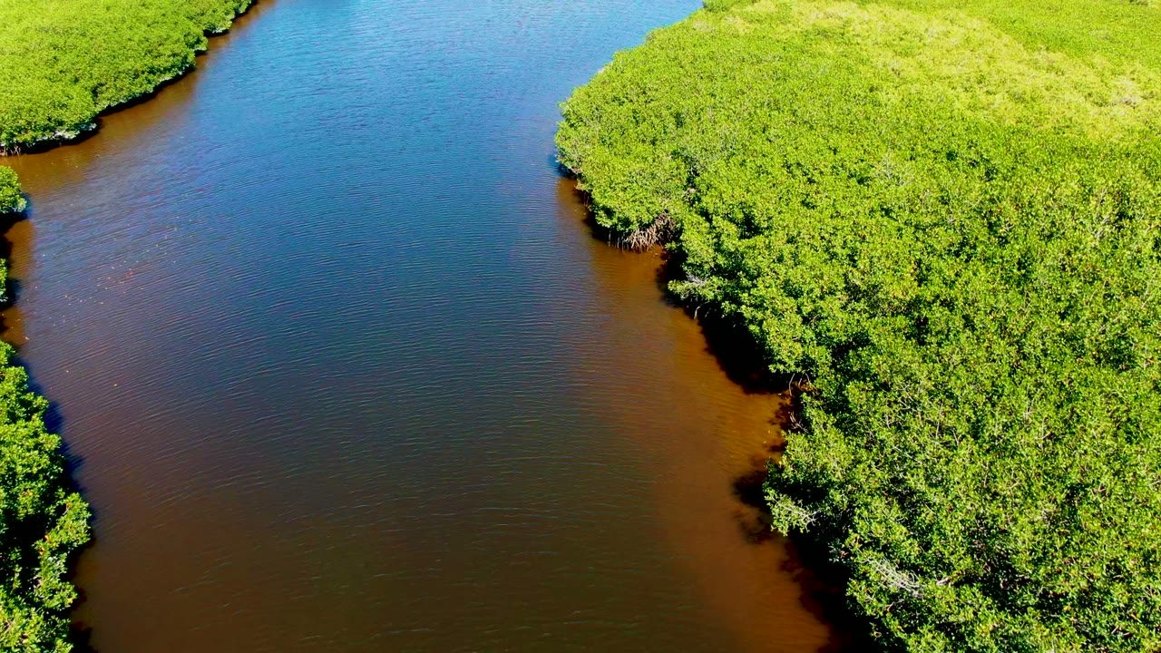 Wide river channel beside bright green vegetation