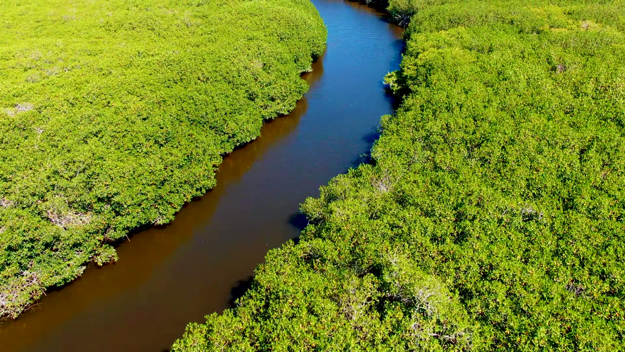 Aerial river bend with bright green forest on both banks.