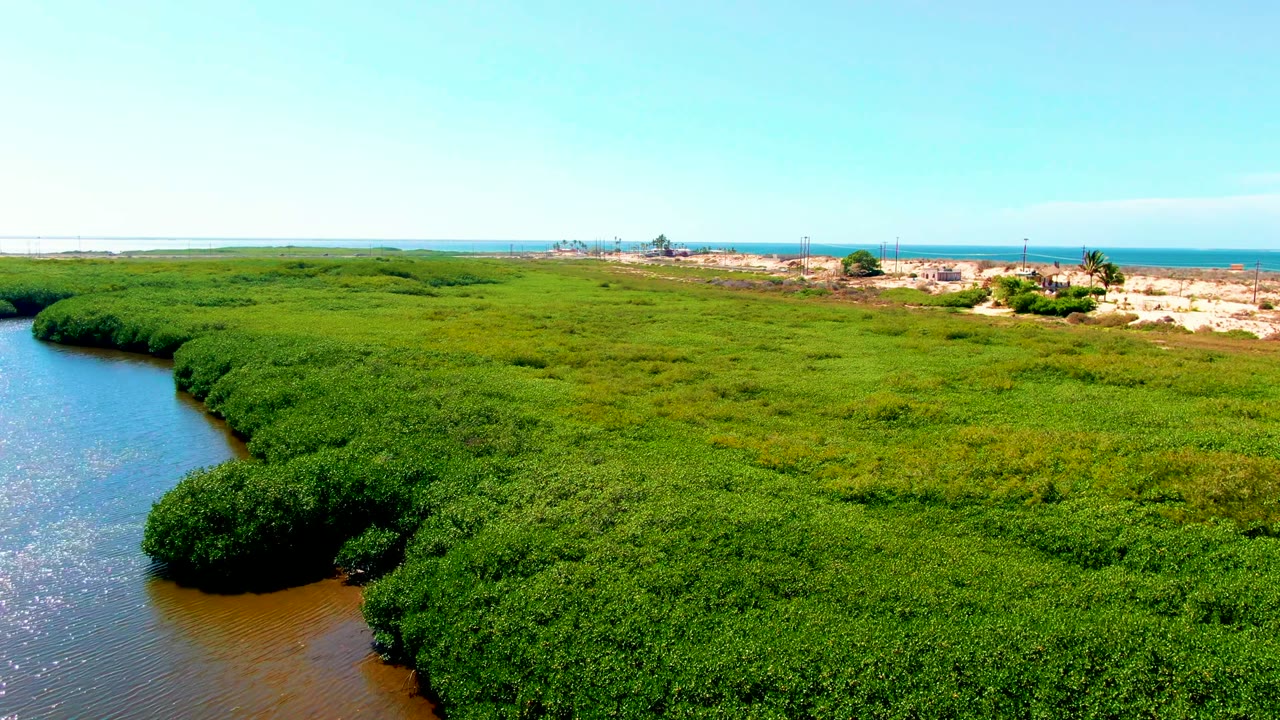 Aerial frame from San Carlos, Baja California Sur showing a broader mangrove expanse, the waterway along the left margin, sandy shore, ocean horizon, clear sky, and no visible people.