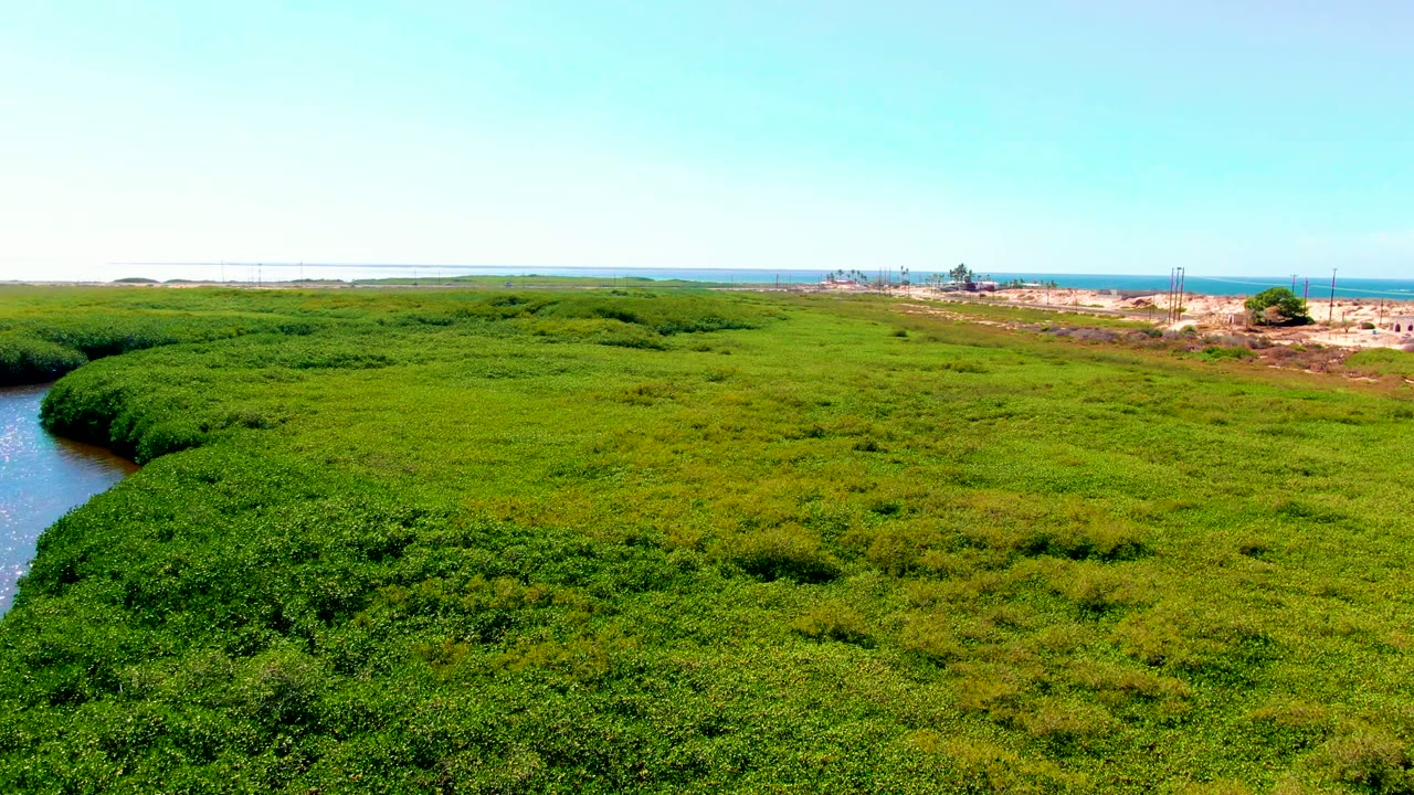 Aerial frame from San Carlos, Baja California Sur showing the drone farther over the mangroves, with the waterway reduced at the left edge, coastal structures near the horizon, ocean beyond, and no visible people.