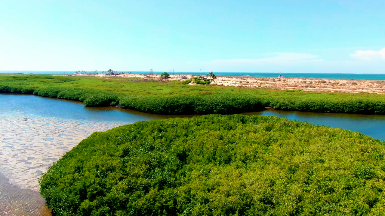 Mangrove island foreground with water channel and sandy shoreline beyond.