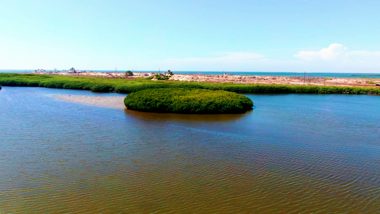 At 0:00, a small dense green island sits left of center in shallow rippled water near San Carlos, Baja California Sur, with a sandy shore and blue sky in the background and no visible people.