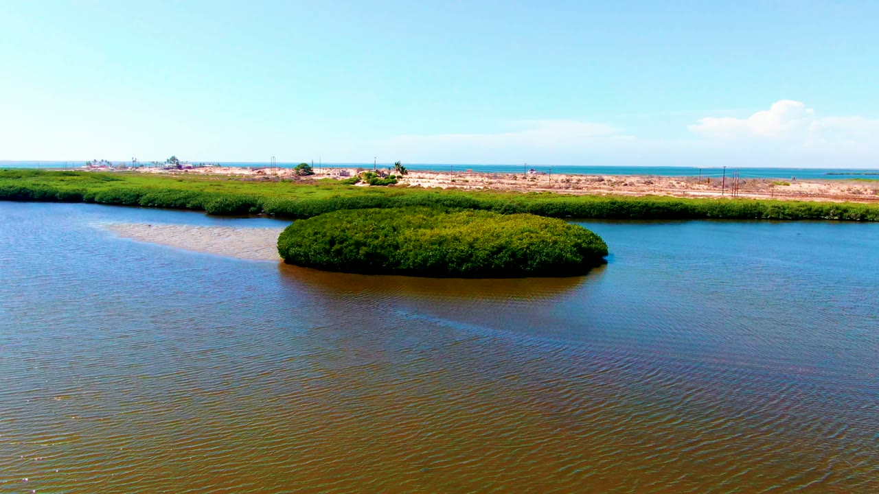 Green island centered in calm shallow water with sand flats and distant shoreline.