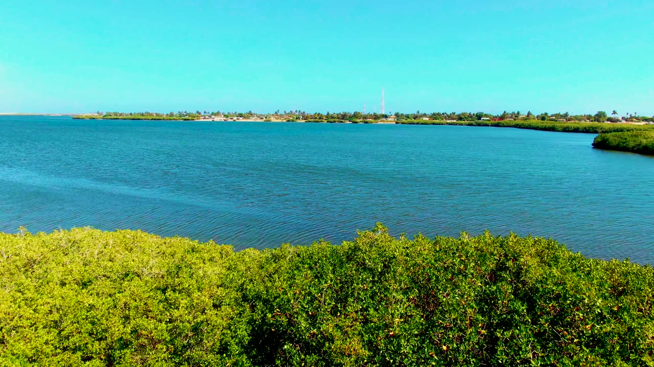 Wide water view with mangroves low in frame and distant shore structures.
