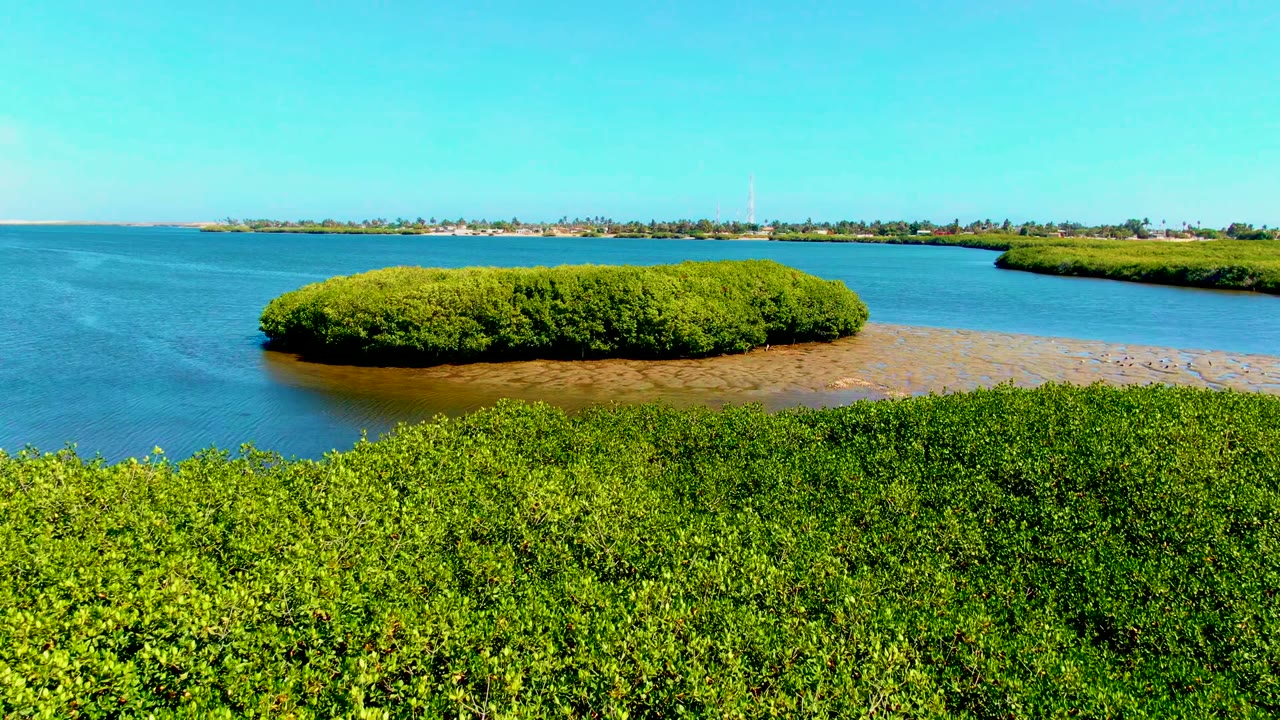A small mangrove island in San Carlos appears closer from above, bordered by blue lagoon water and exposed brown shallows, with foreground vegetation across the bottom and no visible people.