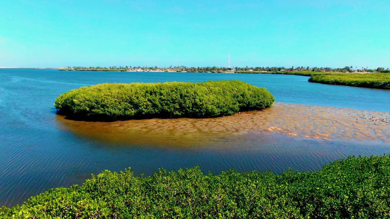 Mangrove island beside blue lagoon water and brown flats from an elevated view.