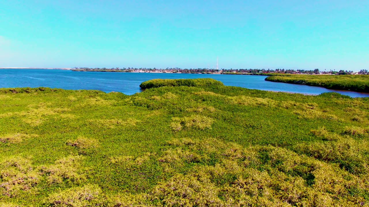 Green coastal vegetation borders a broad band of blue water and distant shore.