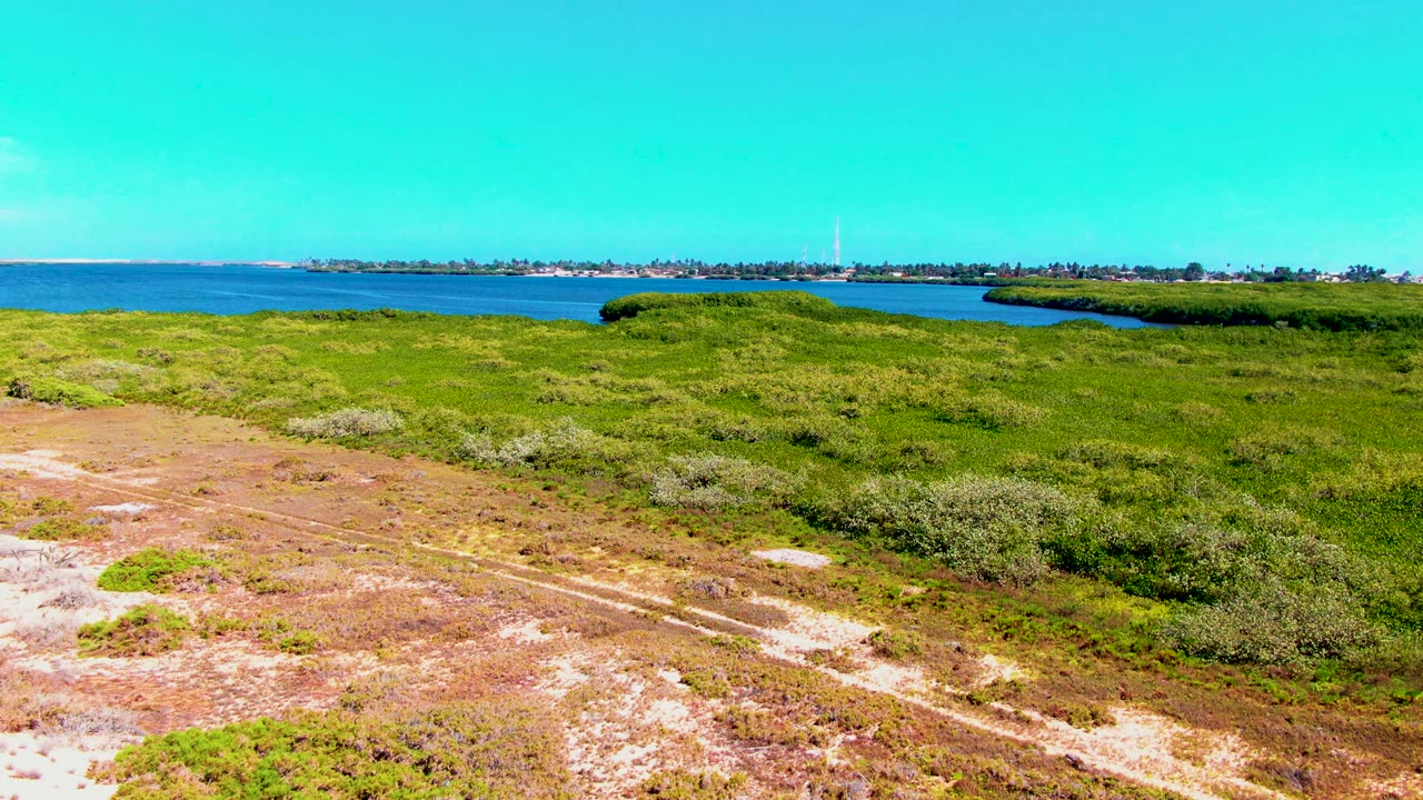Coastal marsh grass with a dirt track and blue water on the horizon.