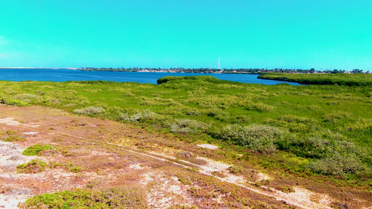 San Carlos aerial frame showing mottled green vegetation, a lighter dirt path near the bottom edge, the blue waterway behind the marsh, and no visible people.