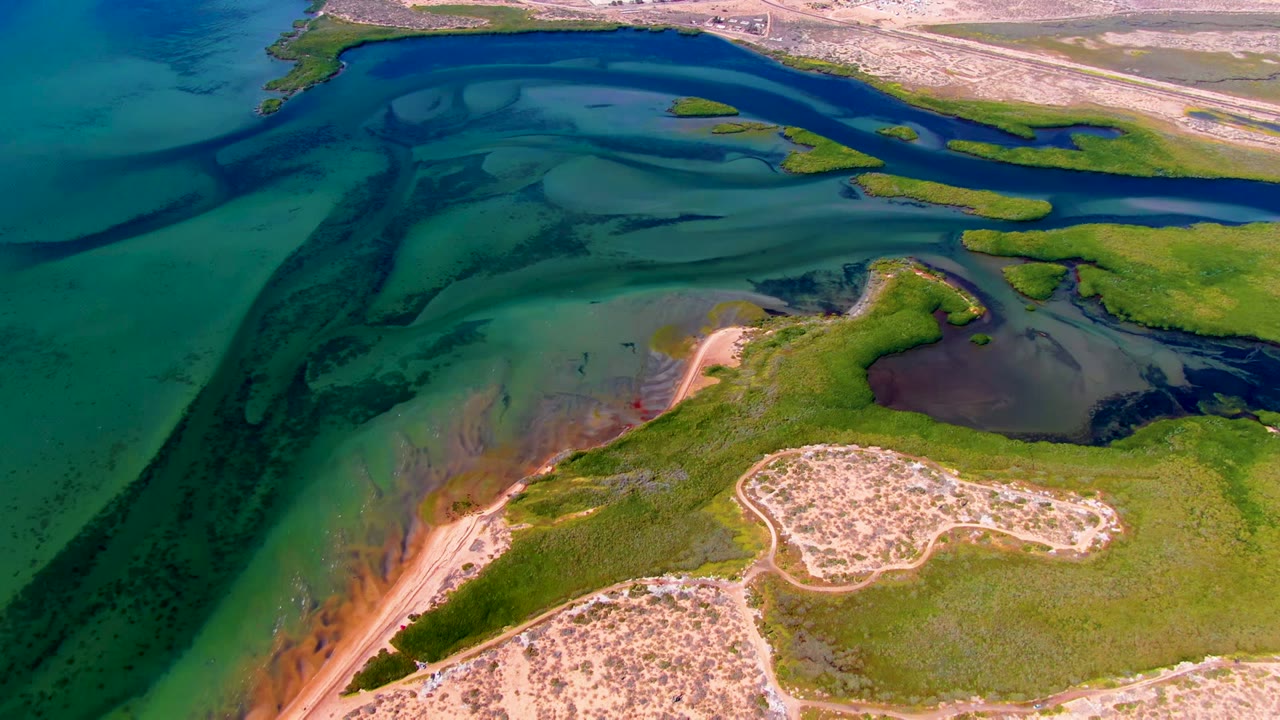 Aerial view over San Carlos, Baja California Sur, with turquoise shallow water, green marsh vegetation, sandy shoreline, and distant buildings, with no visible people.
