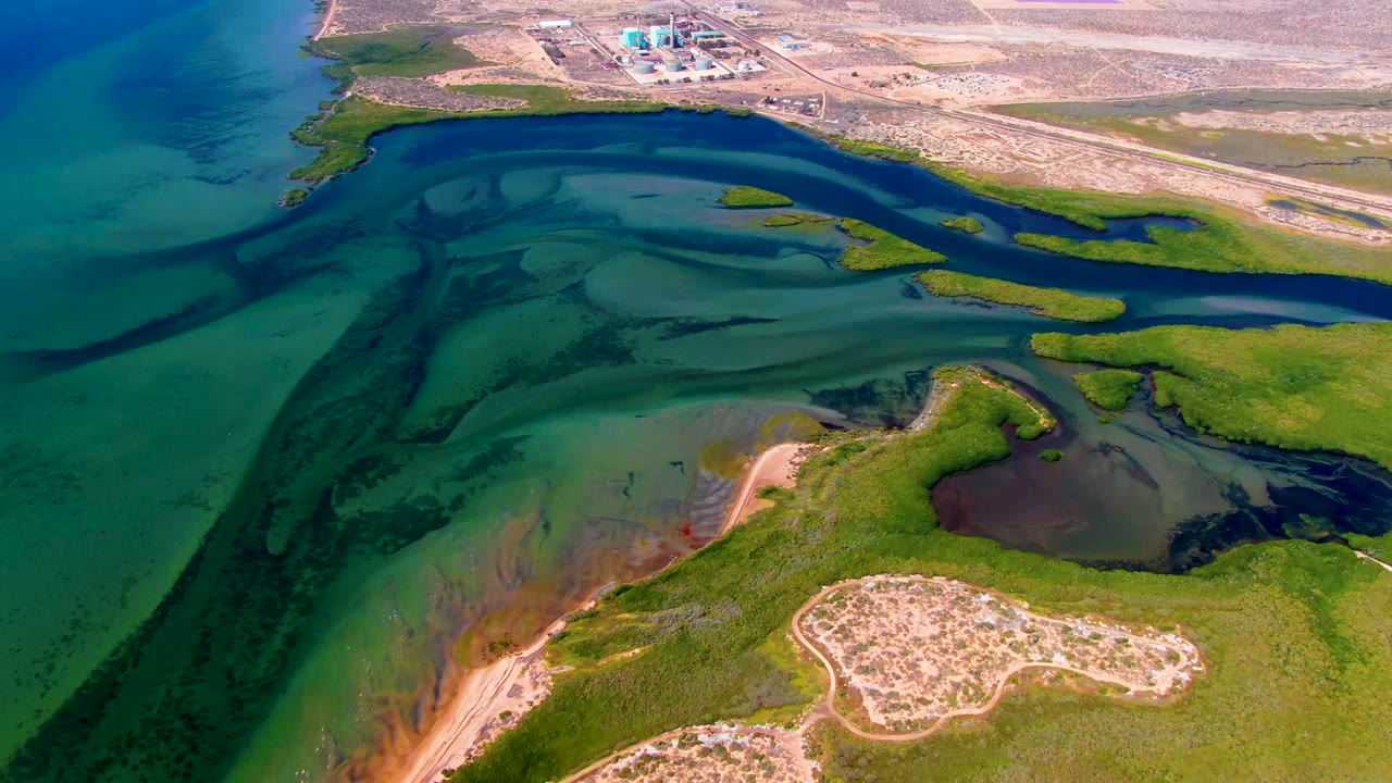 Drone view of blue-green estuary water flowing around marsh islands and pale sandbars.
