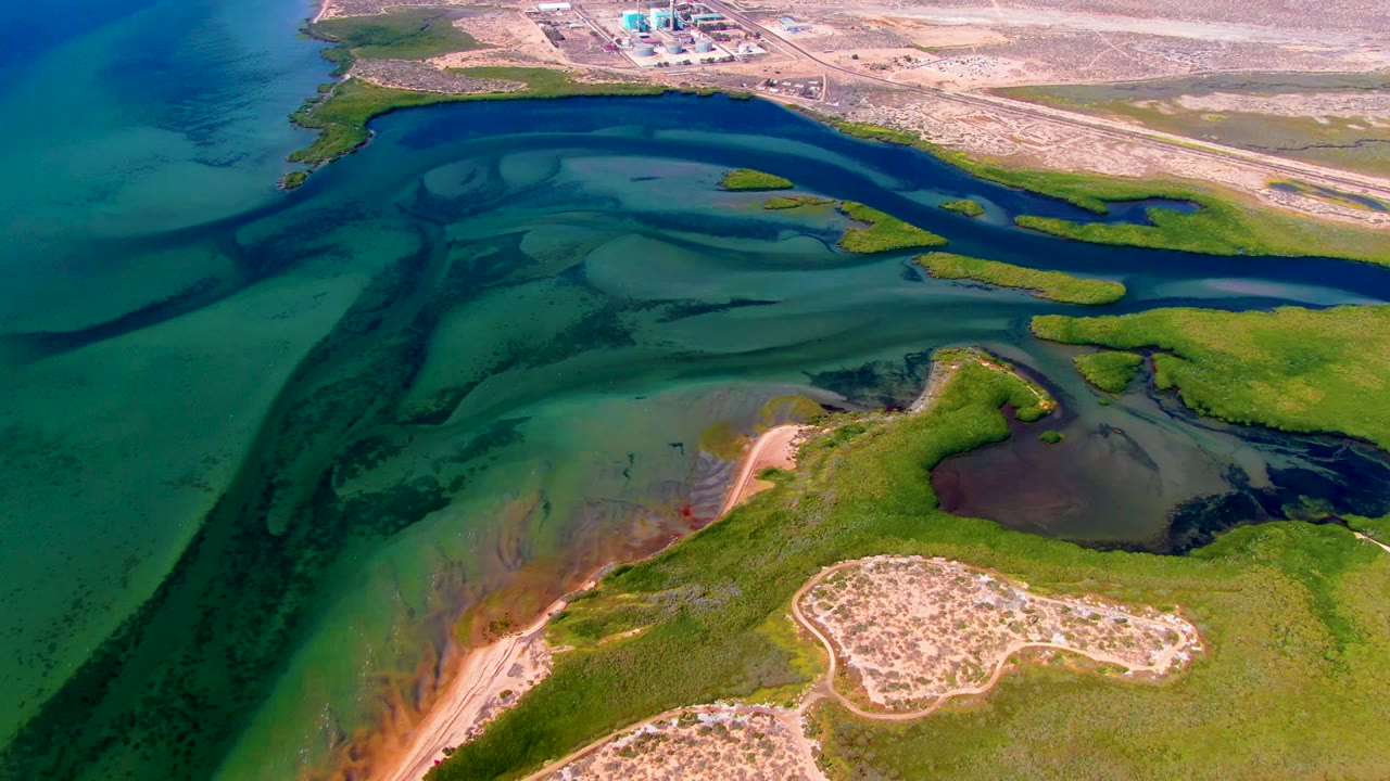 San Carlos wetland frame showing a dark tidal band near the top, translucent green water below, scattered marsh islands, sandy shoreline edges, dry terrain, and no visible people.