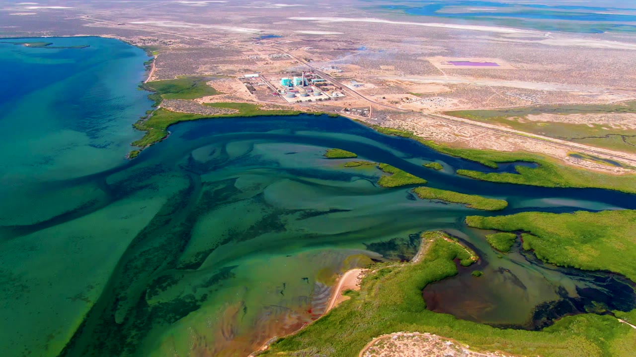 Aerial view over San Carlos, Baja California Sur, with green wetland channels, turquoise shallow water, sandy flats, distant inland structures, and no visible people.