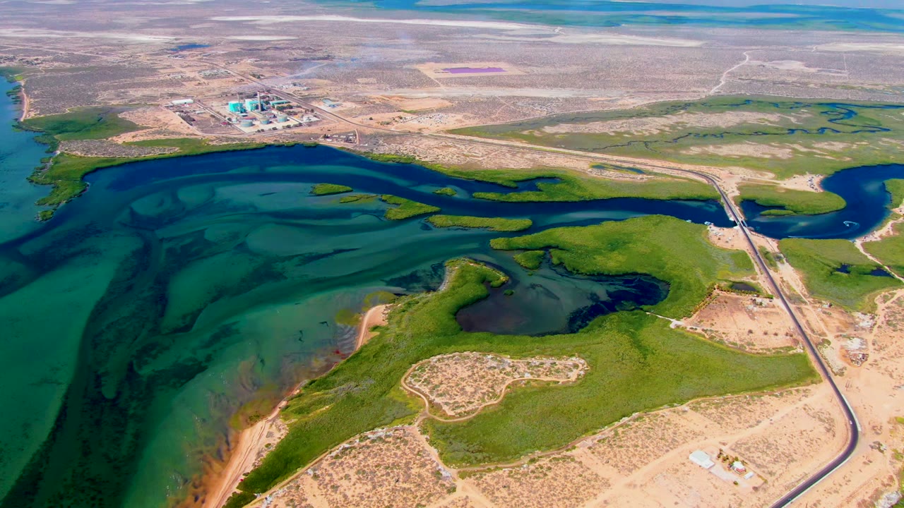 Wide drone view near San Carlos with algae patterns across blue-green reservoir water, dry Baja California Sur land, a distant facility, a road crossing, and no visible people.