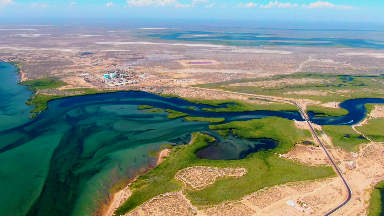 Aerial frame over San Carlos, Baja California Sur showing dark oil slick patterns in teal shallow water beside green marshland, a road, distant desert flats, and no visible people.