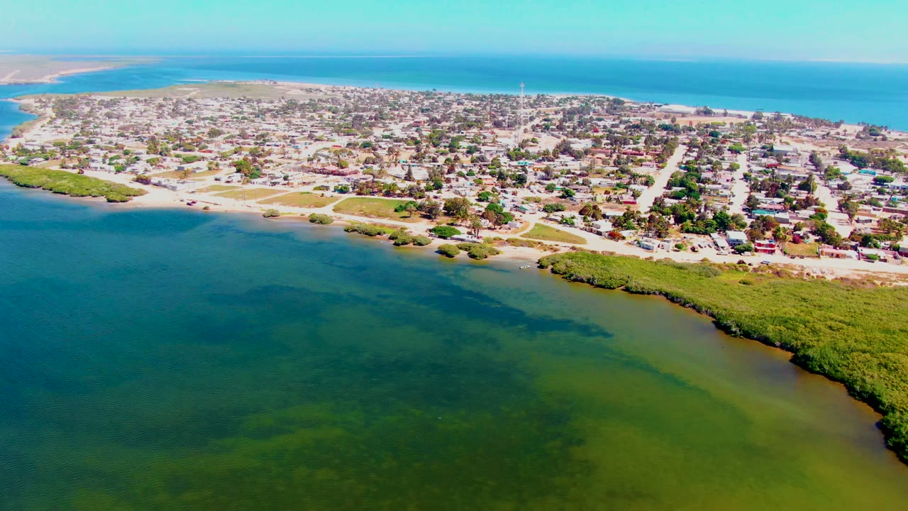 Drone frame over San Carlos, Baja California Sur, with darker patches in the coastal water, mangroves along the lower right shore, a dense grid of homes and roads, and no visible people.