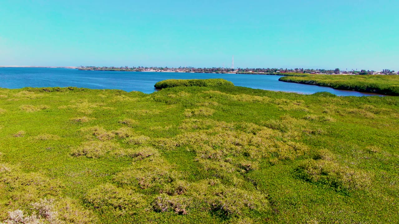 Wide aerial view of green coastal terrain in San Carlos, Baja California Sur, with blue water on the left, distant shoreline buildings on the horizon, and no visible people.