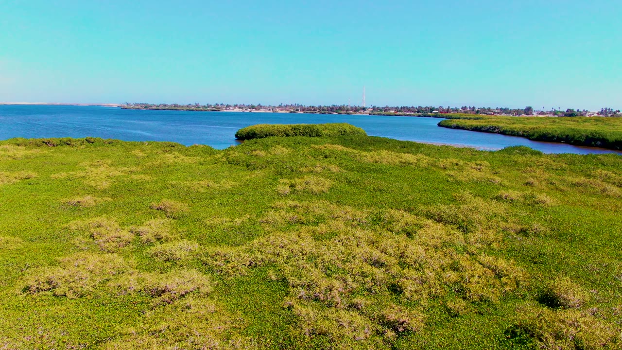 Open green shoreline with ocean and distant buildings across the water.