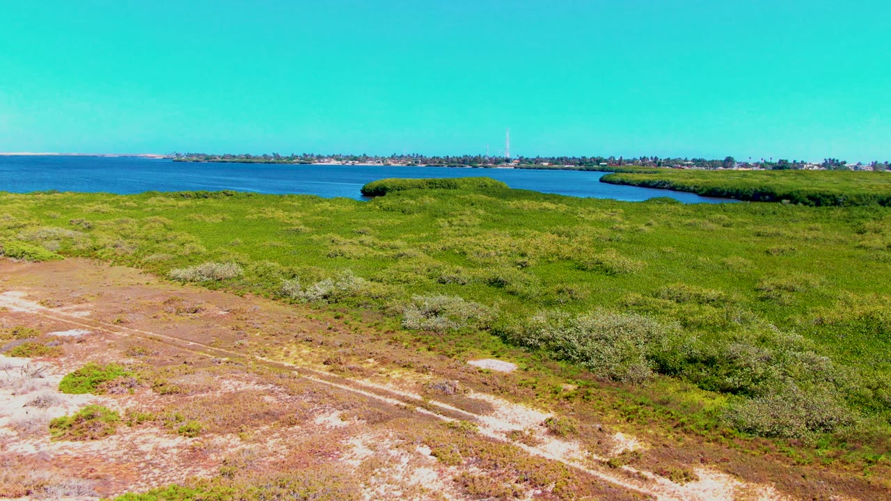 Green marshland and sandy tracks with water behind it.