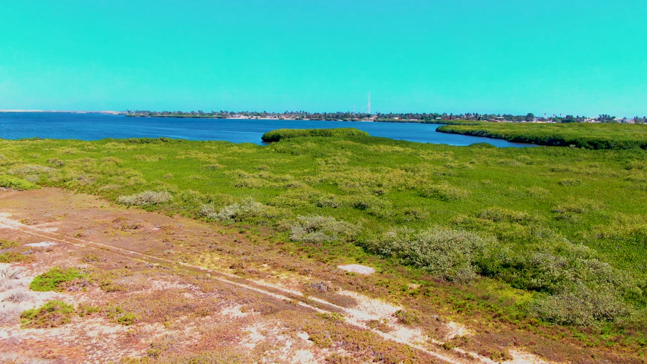 San Carlos aerial view with scrubby foreground vegetation, sandy bare patches, a curving green edge beside blue water, distant buildings on the far shore, and no visible people.